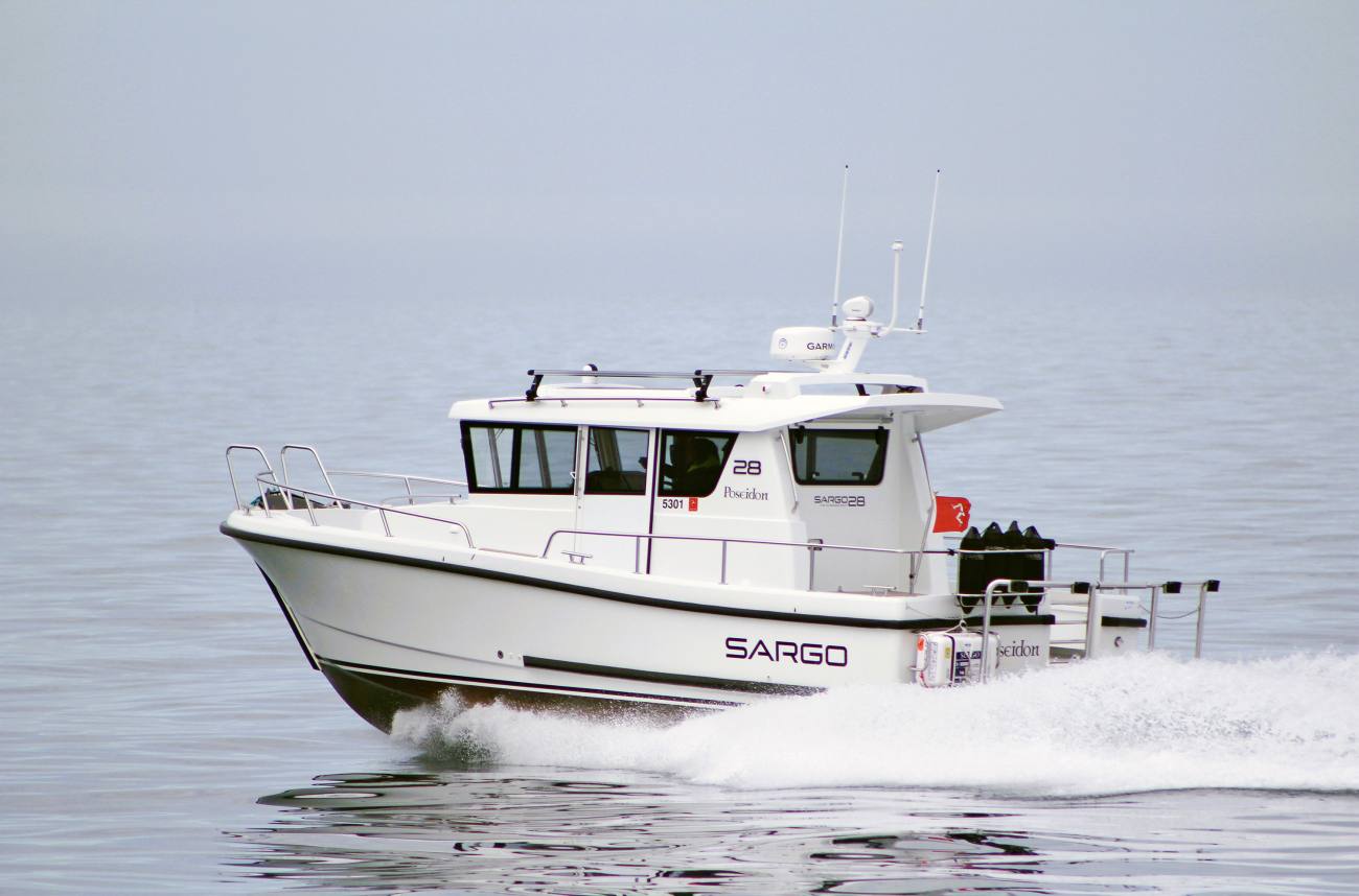 Sargo 28 1
