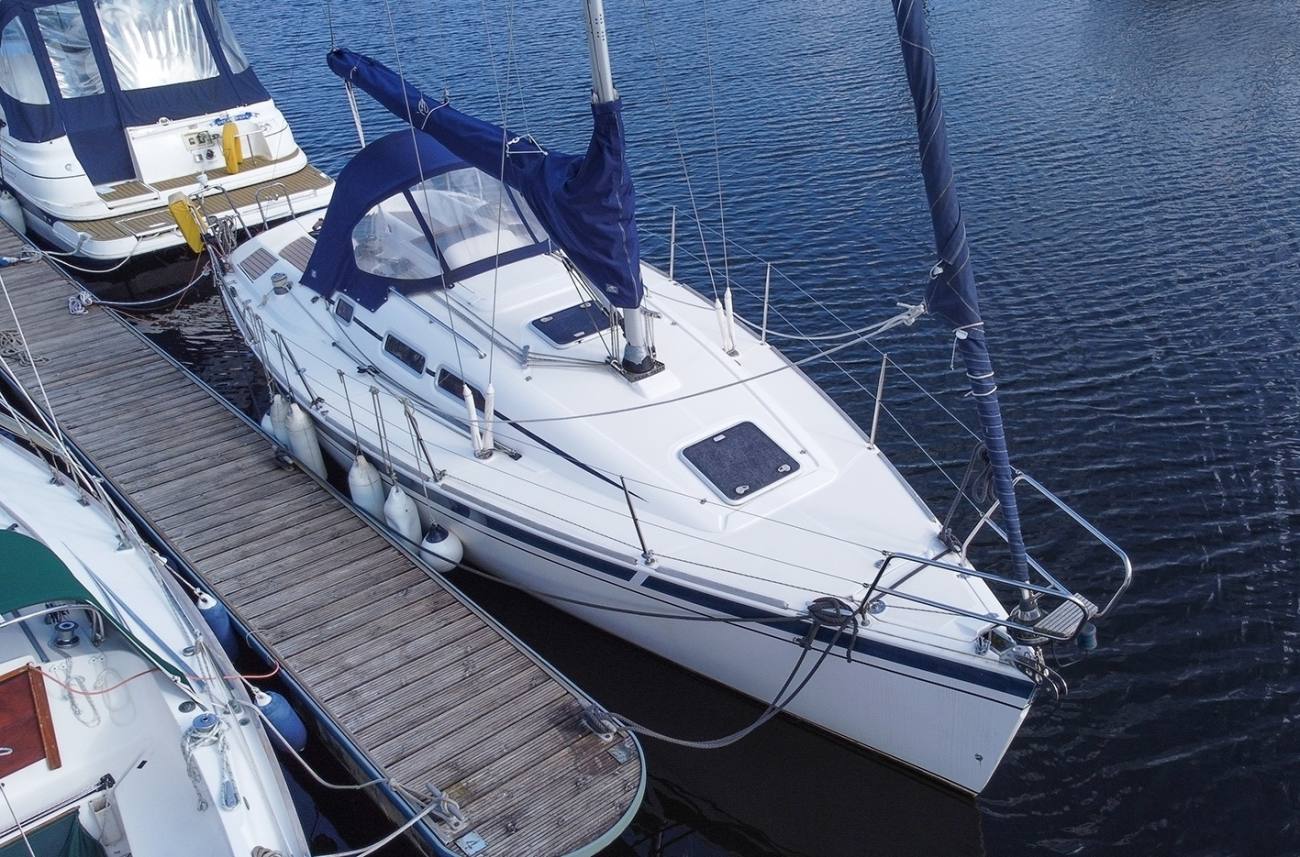 Elan 31