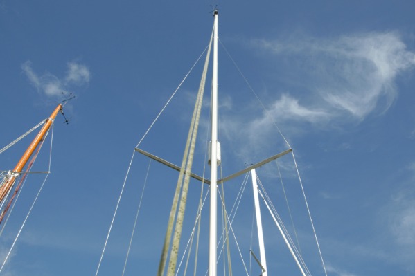 Hunter Channel 31 additional image 15